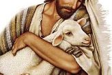 Shepherd
