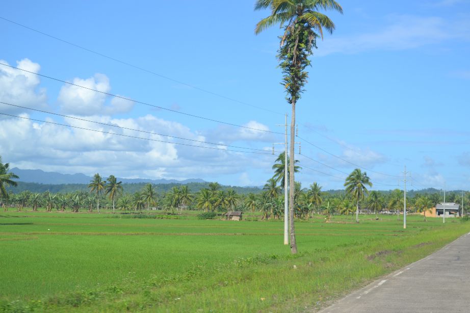 Beautiful and green scenic fields and mountains.