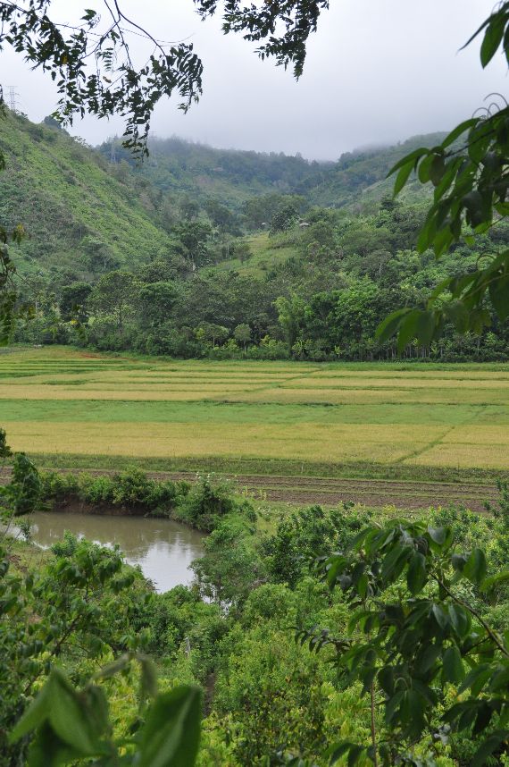 Lush fruitful mountains and valleys.